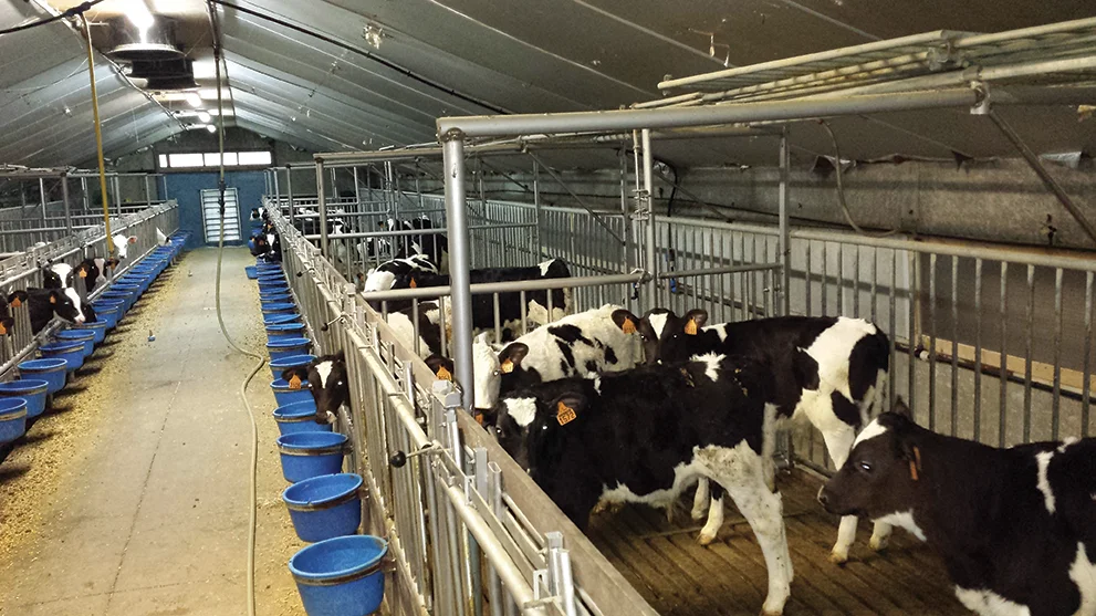 20140124_104056 copie